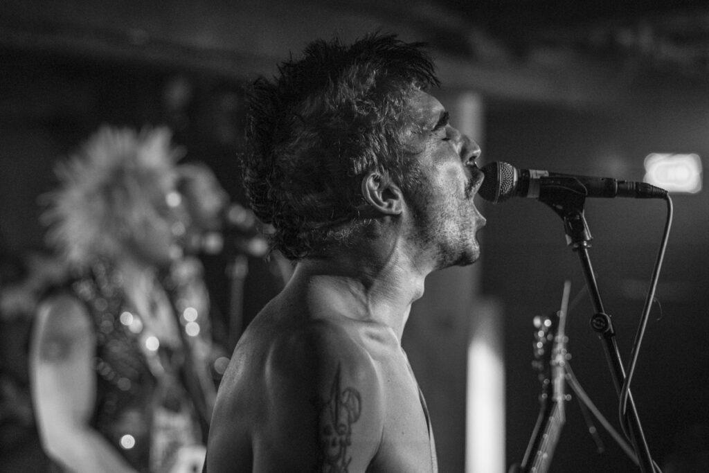 blatoidea underworld candem 4