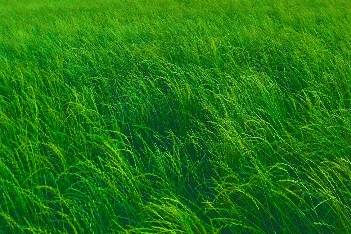 RORY RYAN revela novo single ‘In The Past’ lançado em 6 de março de 2024