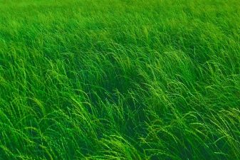 RORY RYAN revela novo single ‘In The Past’ lançado em 6 de março de 2024