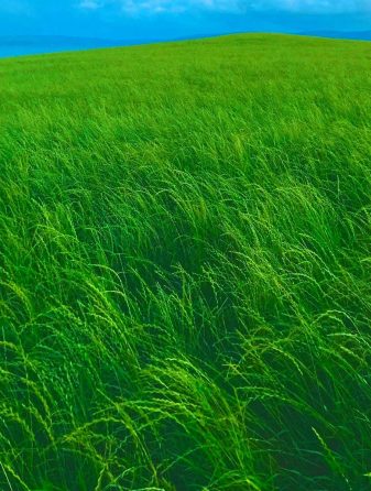 RORY RYAN revela novo single ‘In The Past’ lançado em 6 de março de 2024