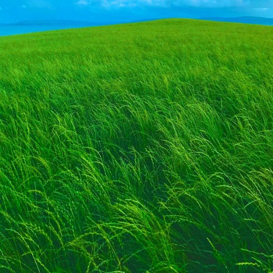 RORY RYAN revela novo single ‘In The Past’ lançado em 6 de março de 2024