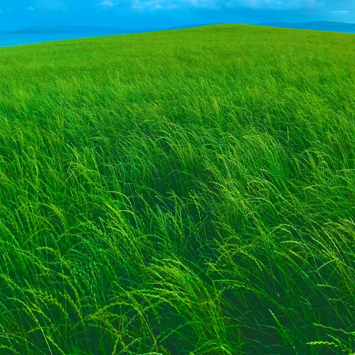 RORY RYAN revela novo single ‘In The Past’ lançado em 6 de março de 2024