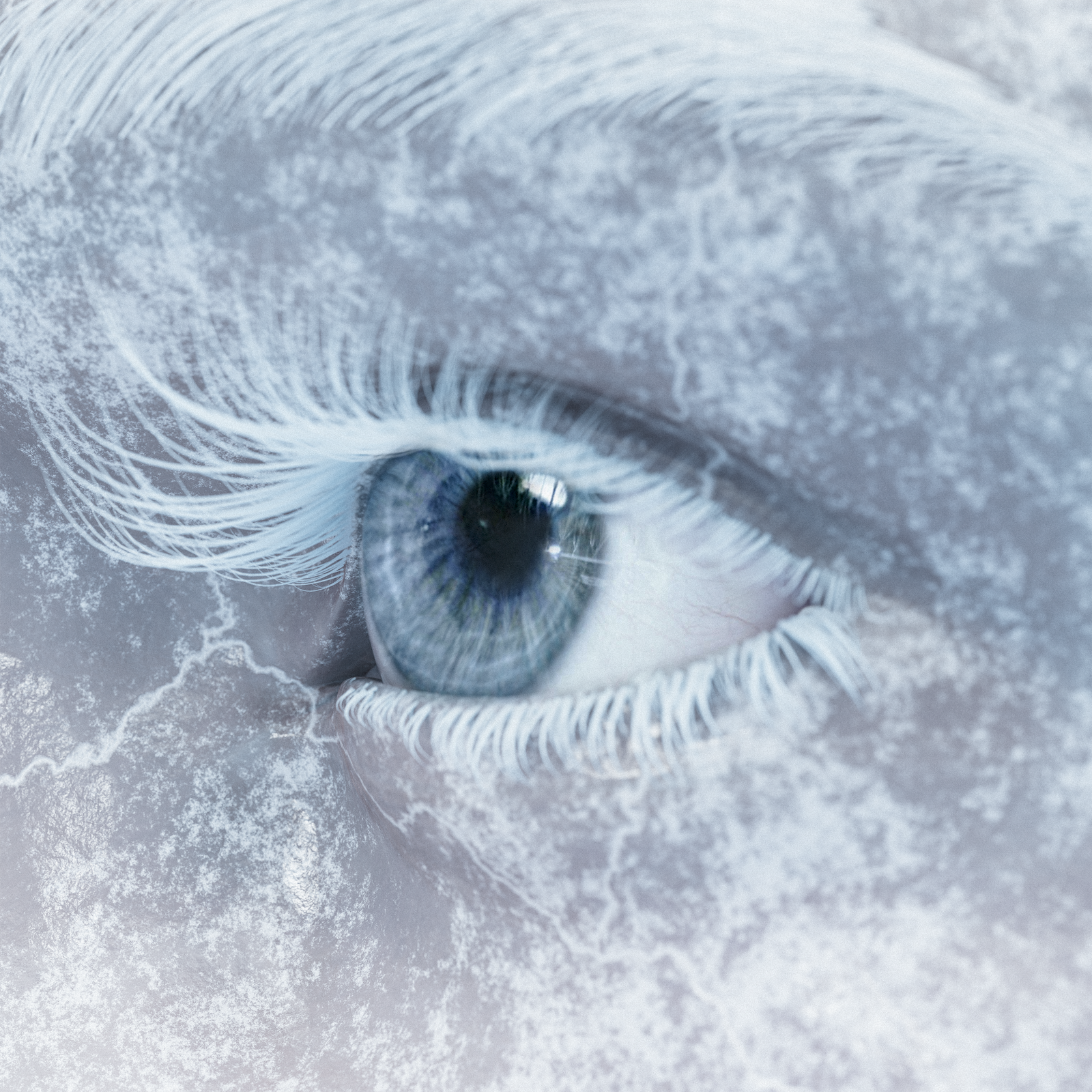 Lake Malice lançou um videoclipe de inverno para o novo single ‘Eternal December’ ❄️