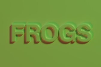 Nick Cave & The Bad Seeds lançam novo single 'Frogs'