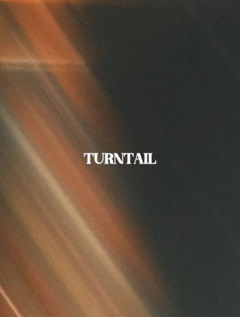 Alt-pop trio Exploring Birdsong release new single 'Turntail'