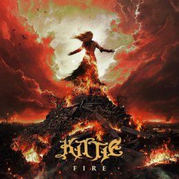 Cover image for Fire