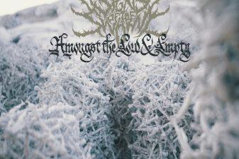 Signs of the Swarm - Borrowed Time