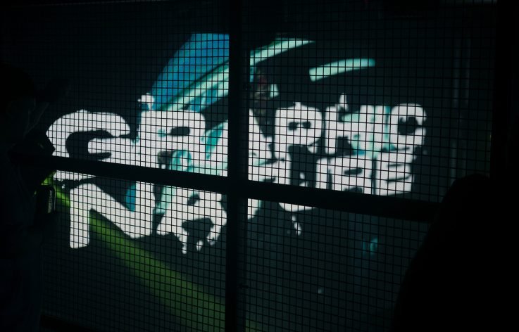 Graphic Nature at Burn it Down Festival, 2024