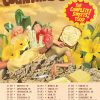 Counting Crows Announce The Complete Sweets! Tour