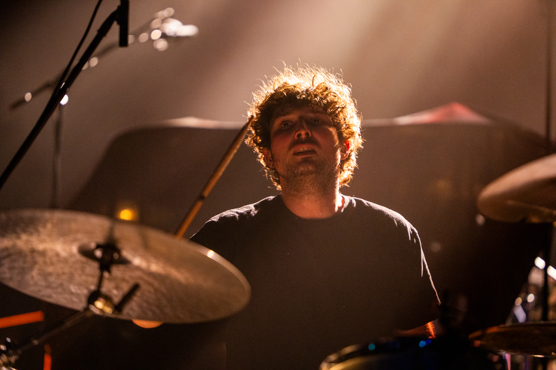 20250713 Birds in Row @cacei.ro 14