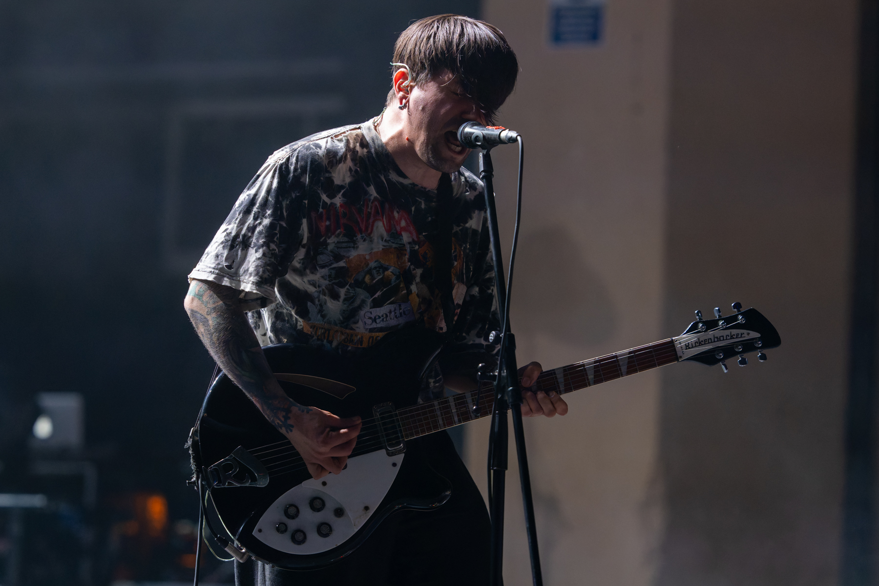 20250713 Birds in Row @cacei.ro 41