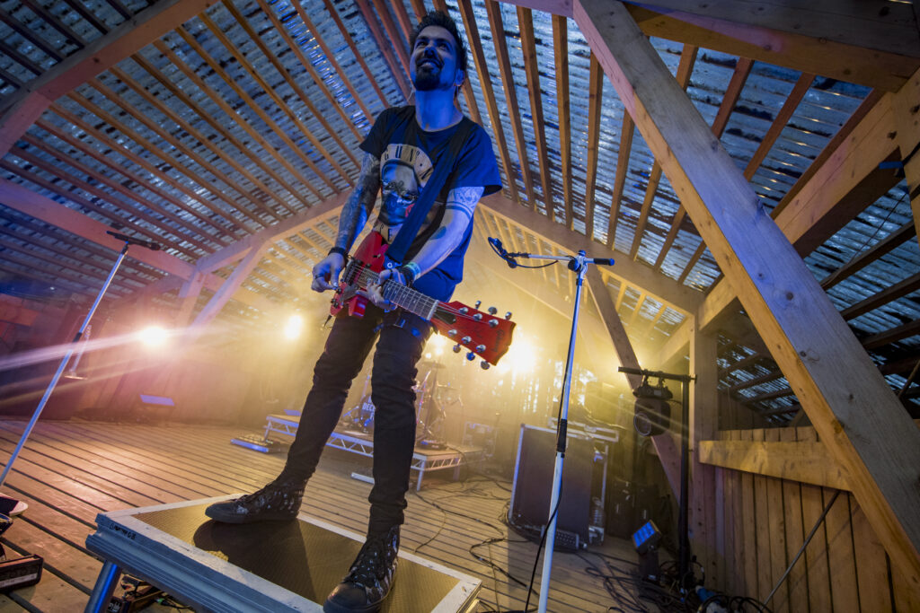 As December Falls 2000Trees Saturday 2025 Jon Dadds 1