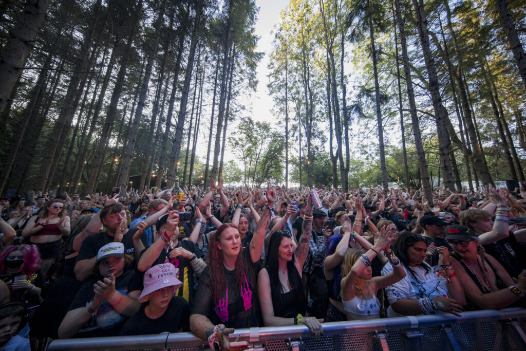 As December Falls 2000Trees Saturday 2025 Jon Dadds 3