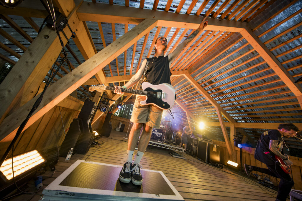 As December Falls 2000Trees Saturday 2025 Jon Dadds 6