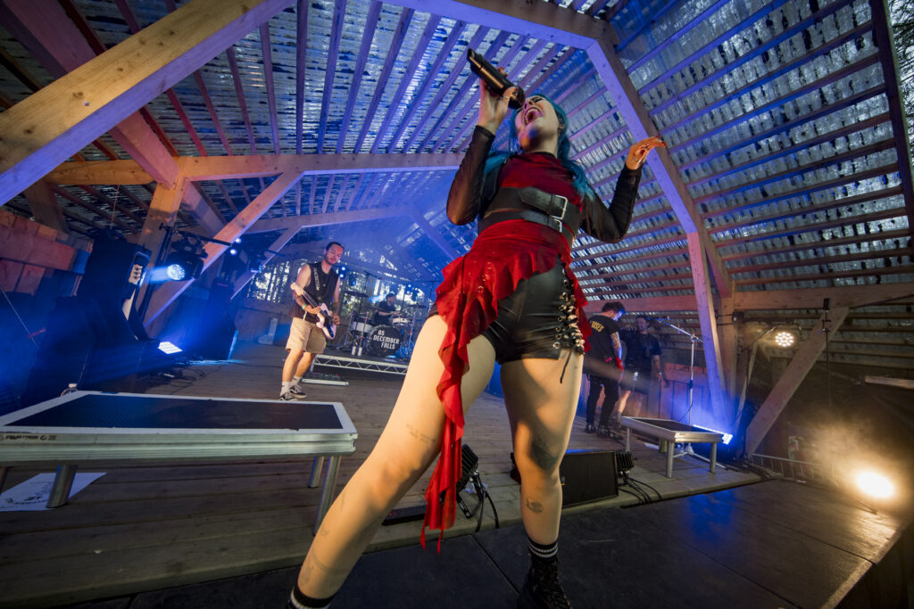 As December Falls 2000Trees Saturday 2025 Jon Dadds 7