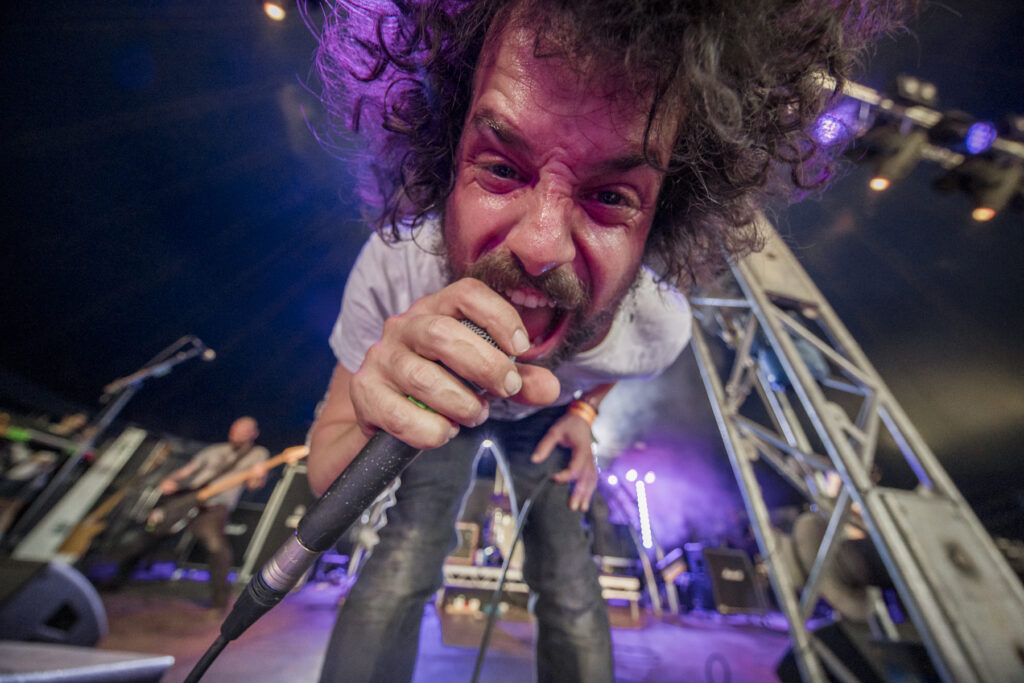 Coilguns 2000Trees Friday 2025 Jon Dadds 13