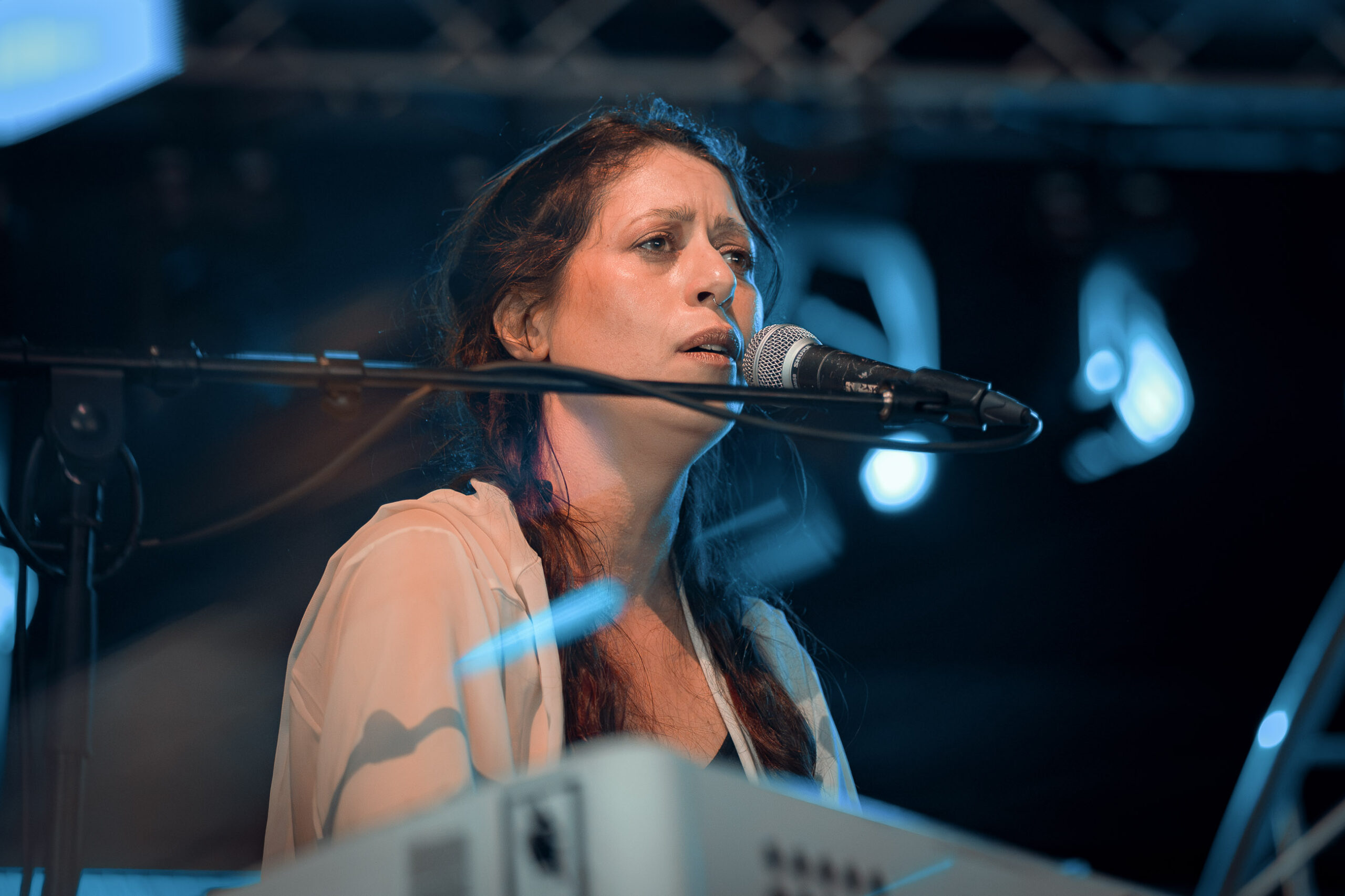 Maud the Moth Diana Revell ATG 4 scaled