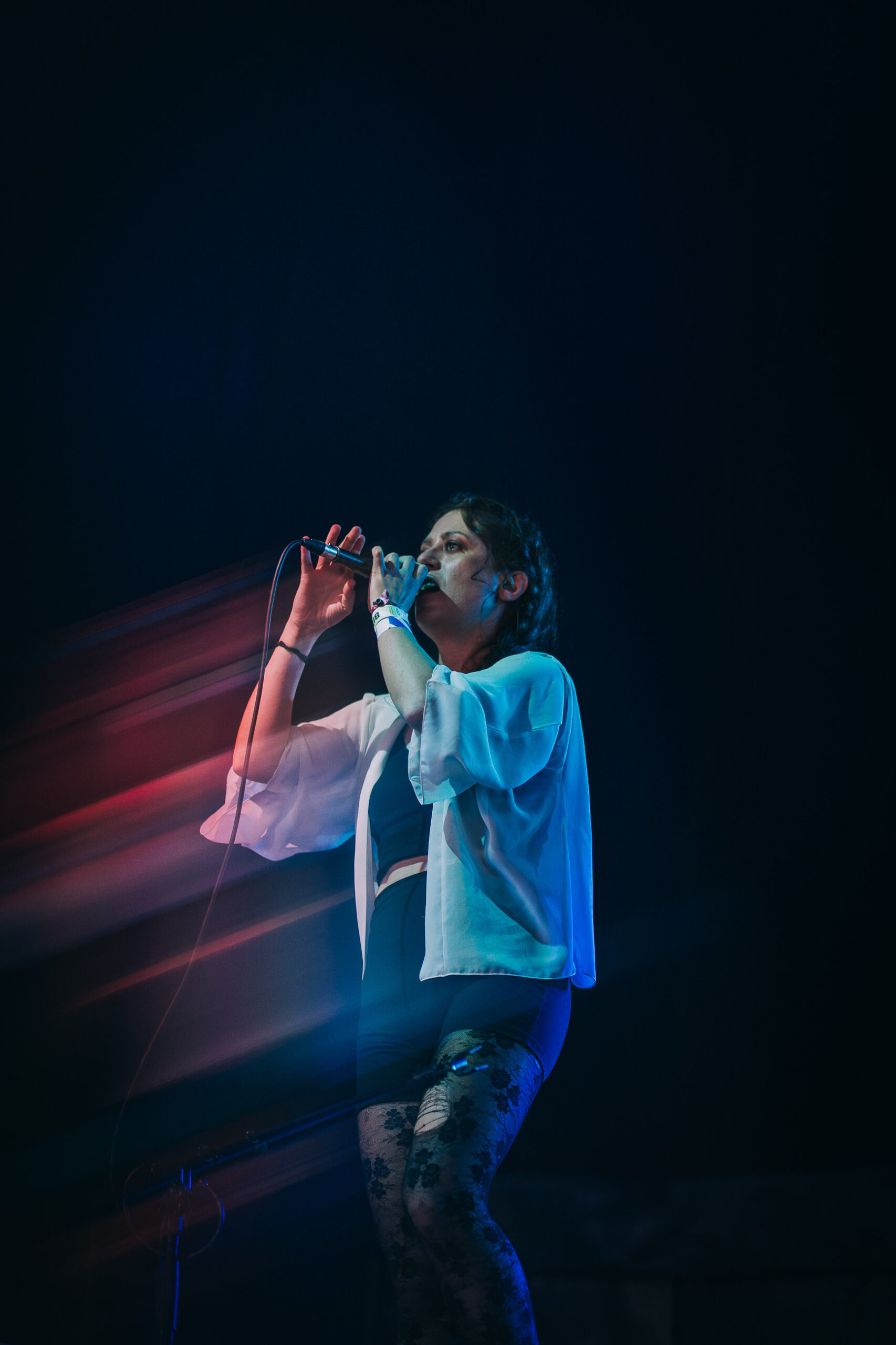 Maud the Moth Diana Revell ATG 7 scaled