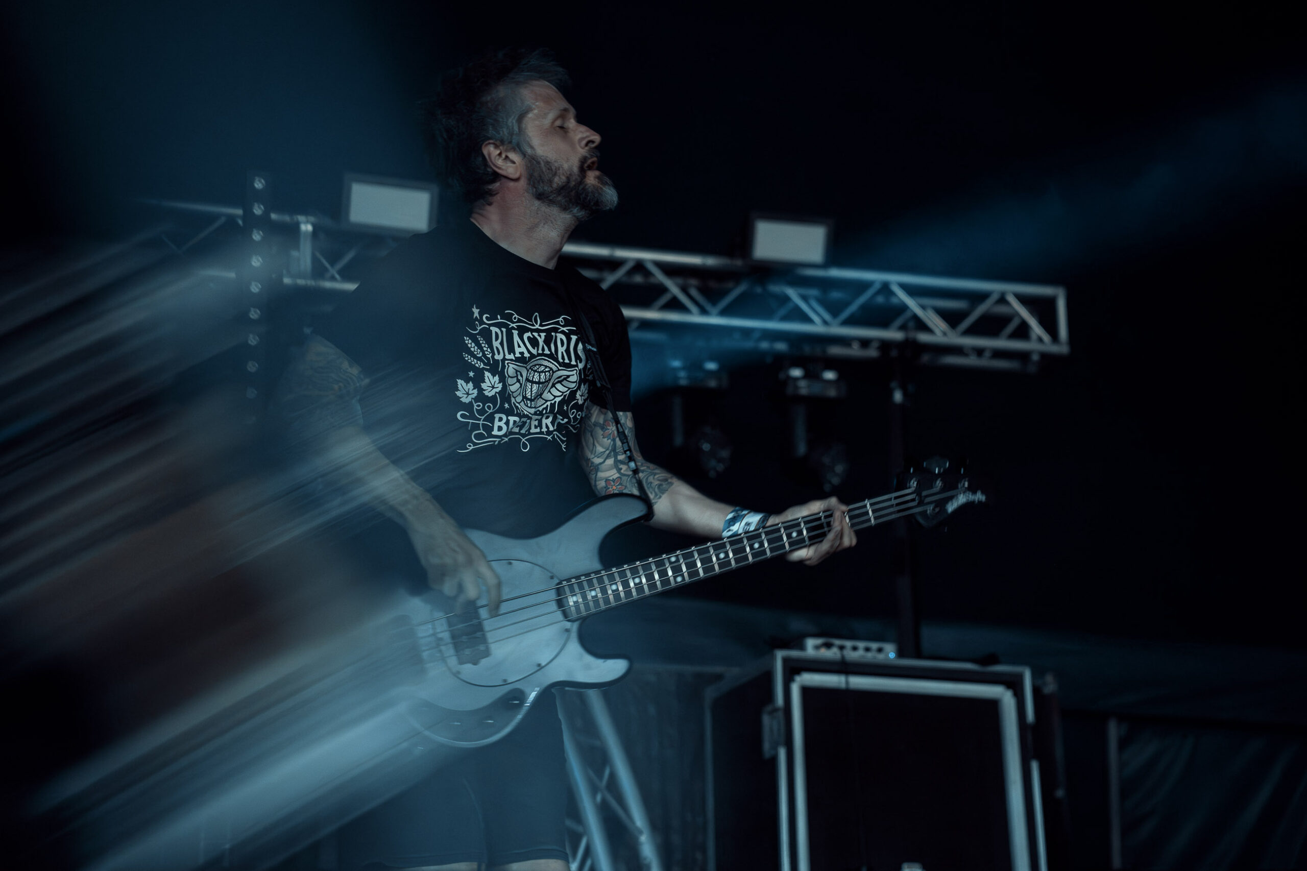 The Grey Diana Revell ATG 2 scaled