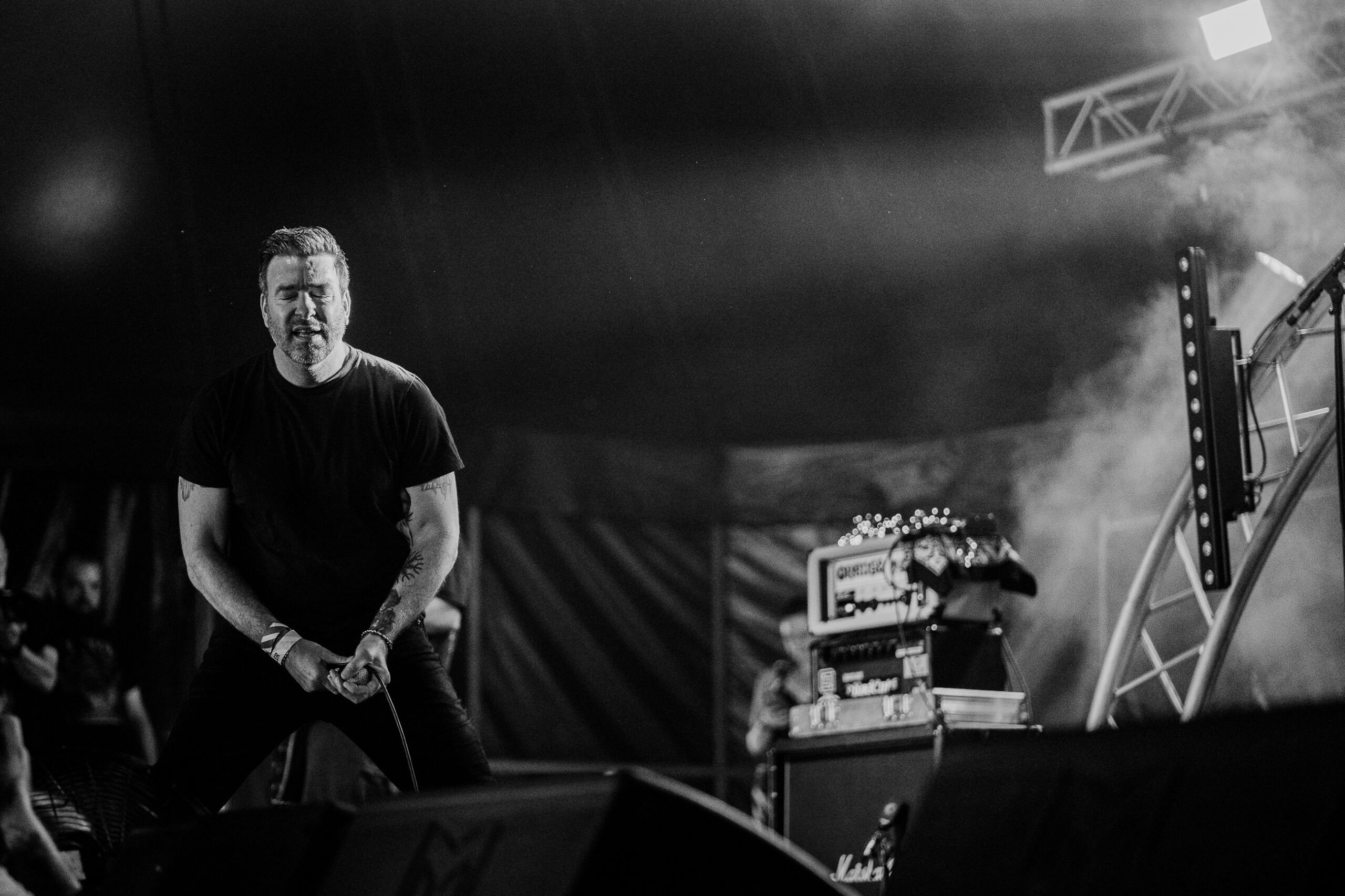 The Grey Diana Revell ATG 4 scaled