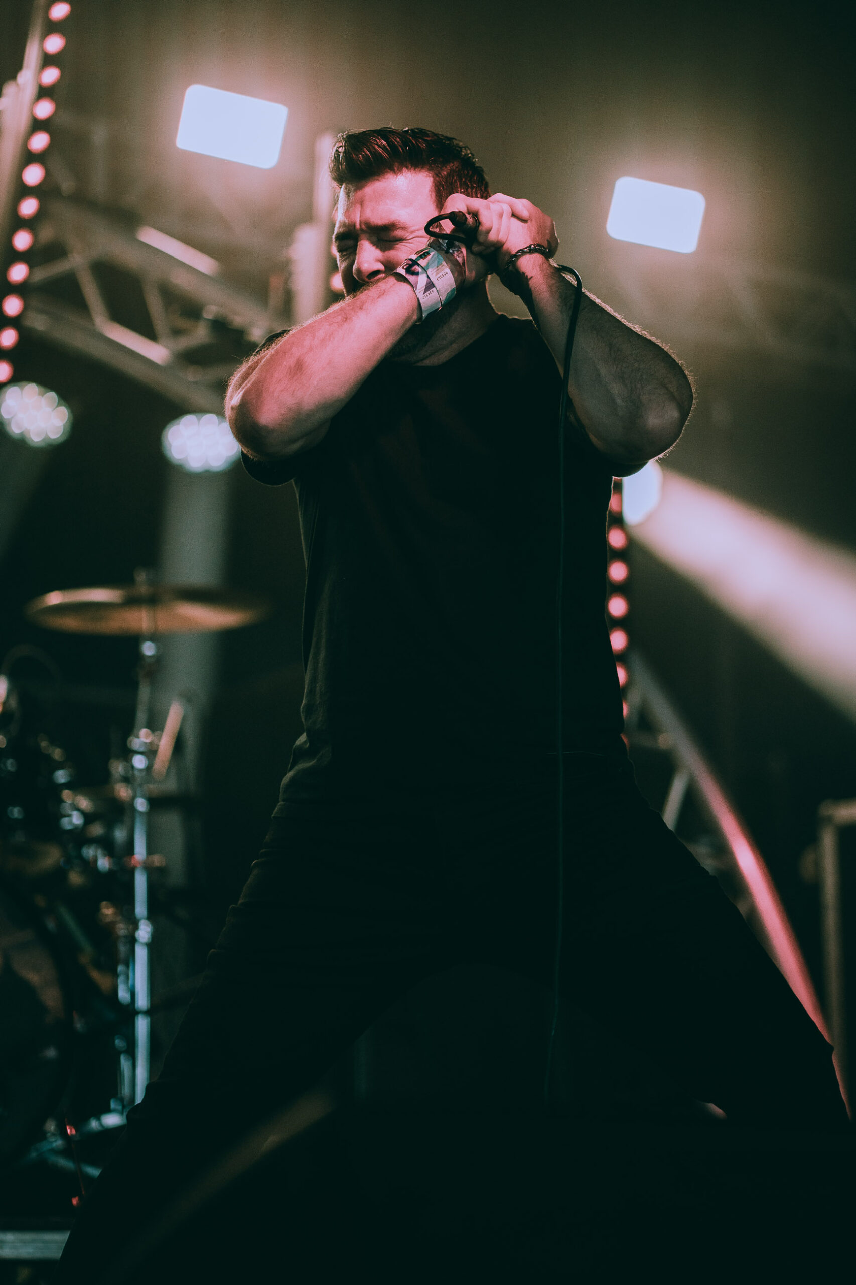 The Grey Diana Revell ATG 5 scaled