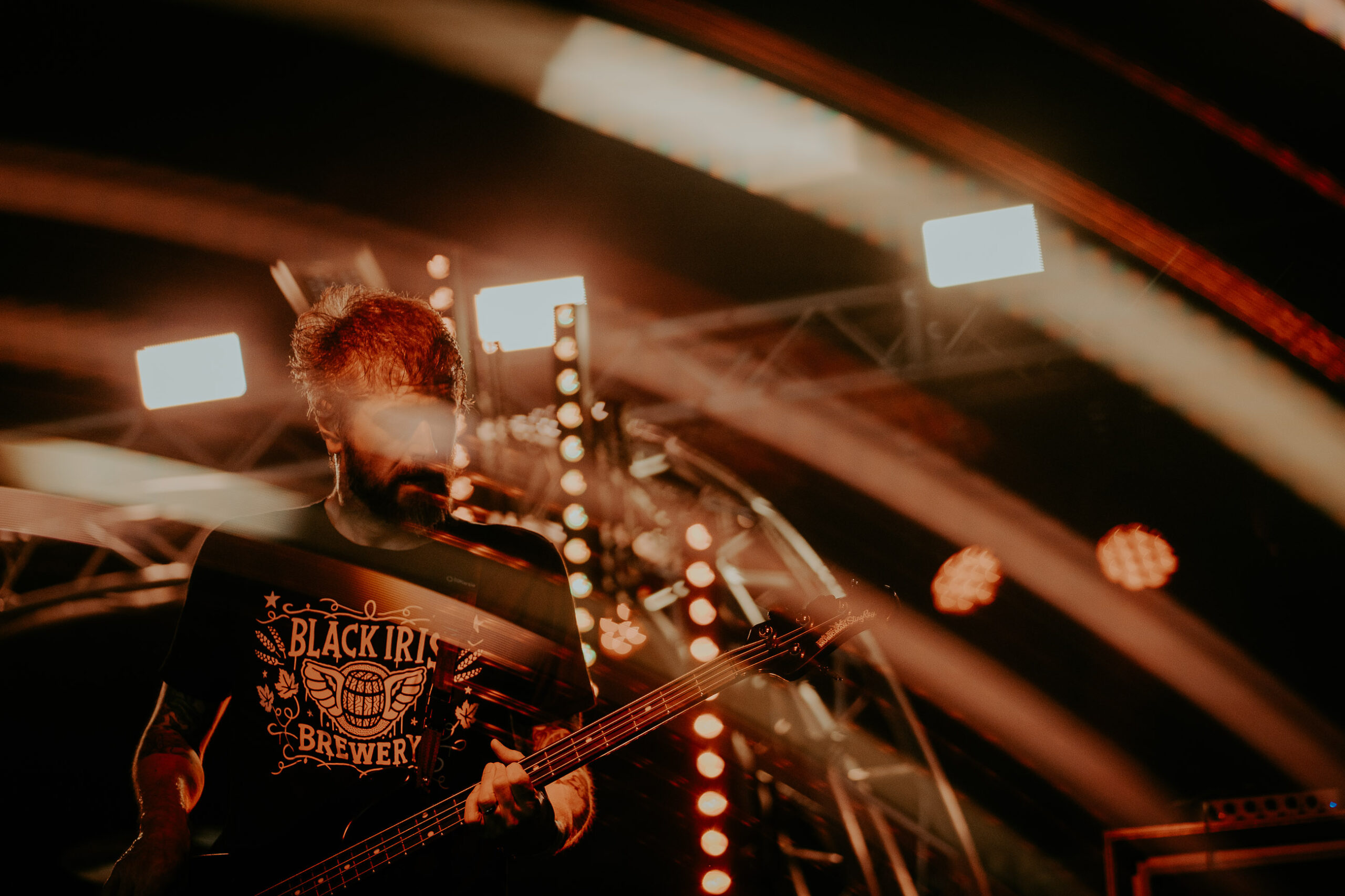 The Grey Diana Revell ATG 8 scaled