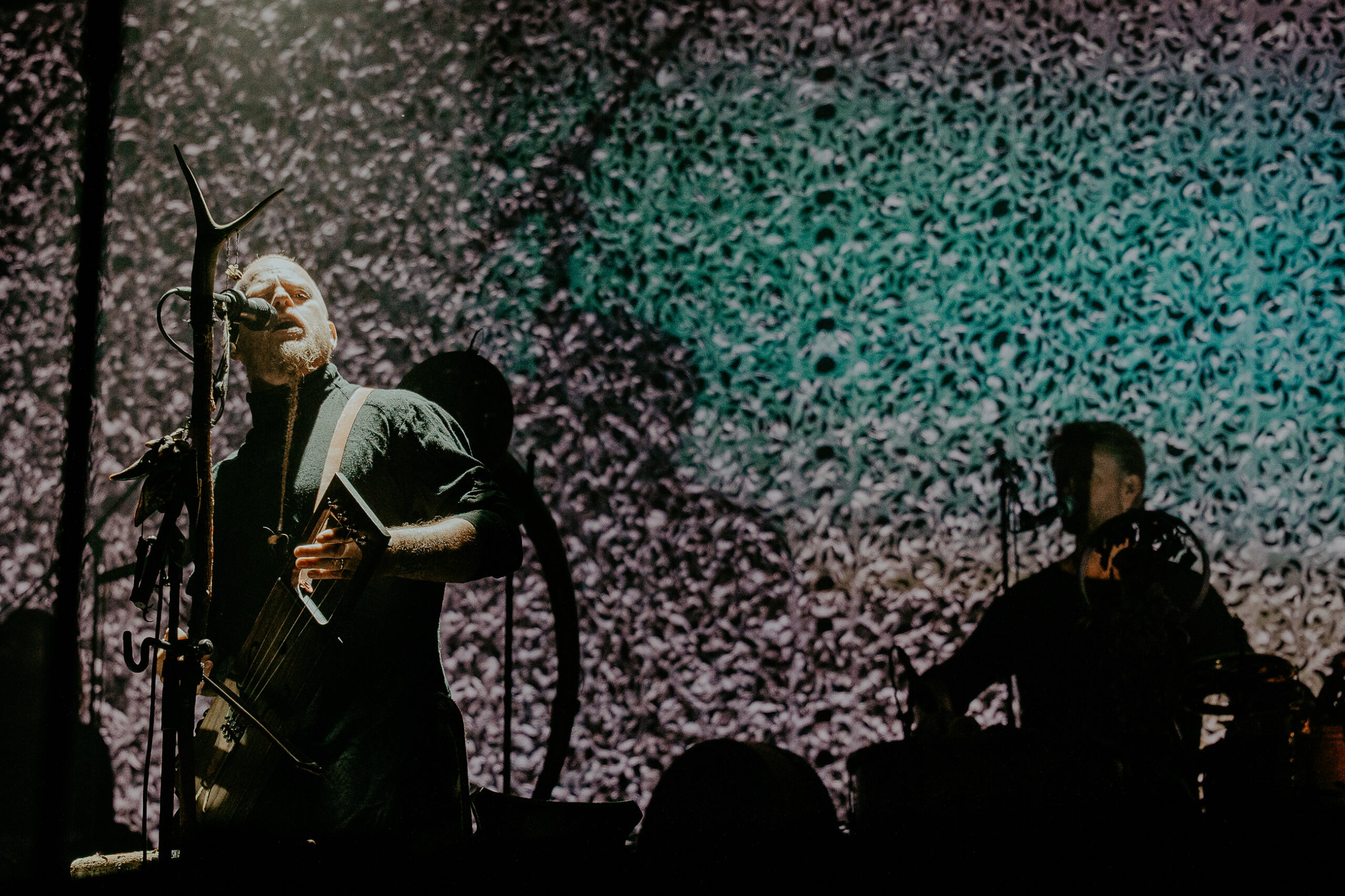 Wardruna Diana Revell ATG 03 scaled