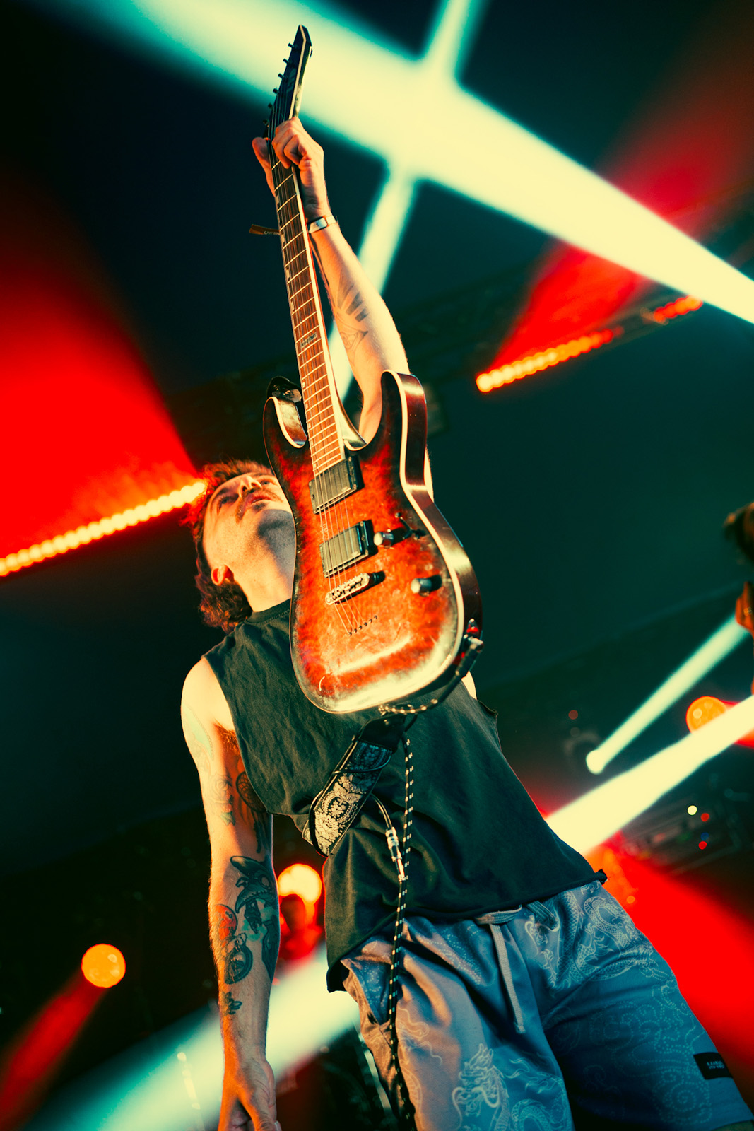 compounds bloodstock 2025 tony Giannattasio 9