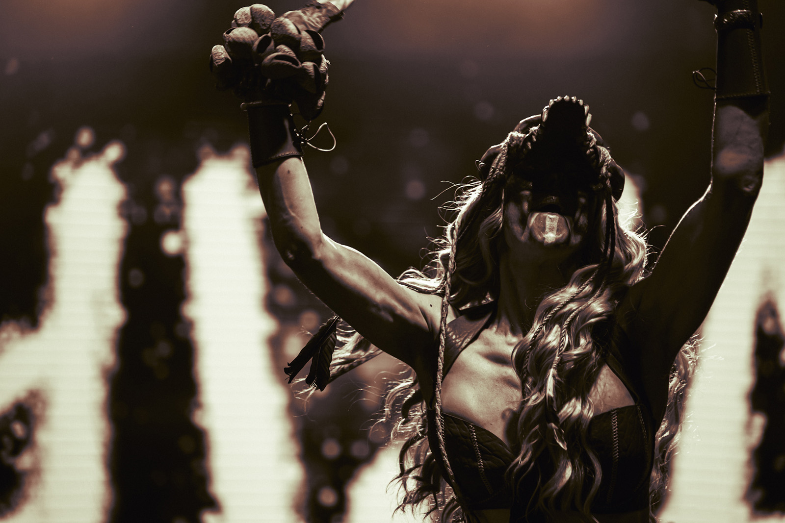 eihwar coil bloodstock 2025 tony Giannattasio 4