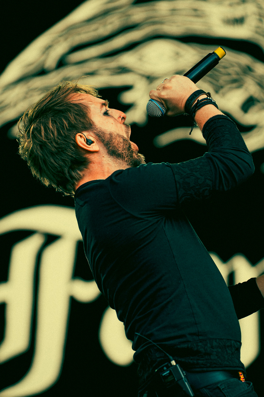 famyne coil bloodstock 2025 tony Giannattasio 2