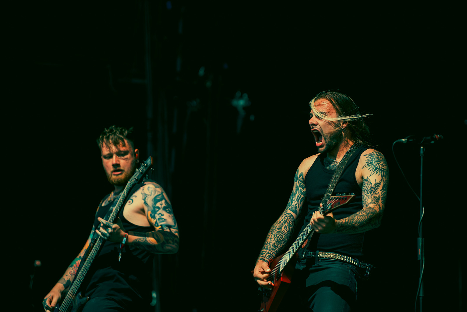 paleface swiss bloodstock 2025 tony Giannattasio 21