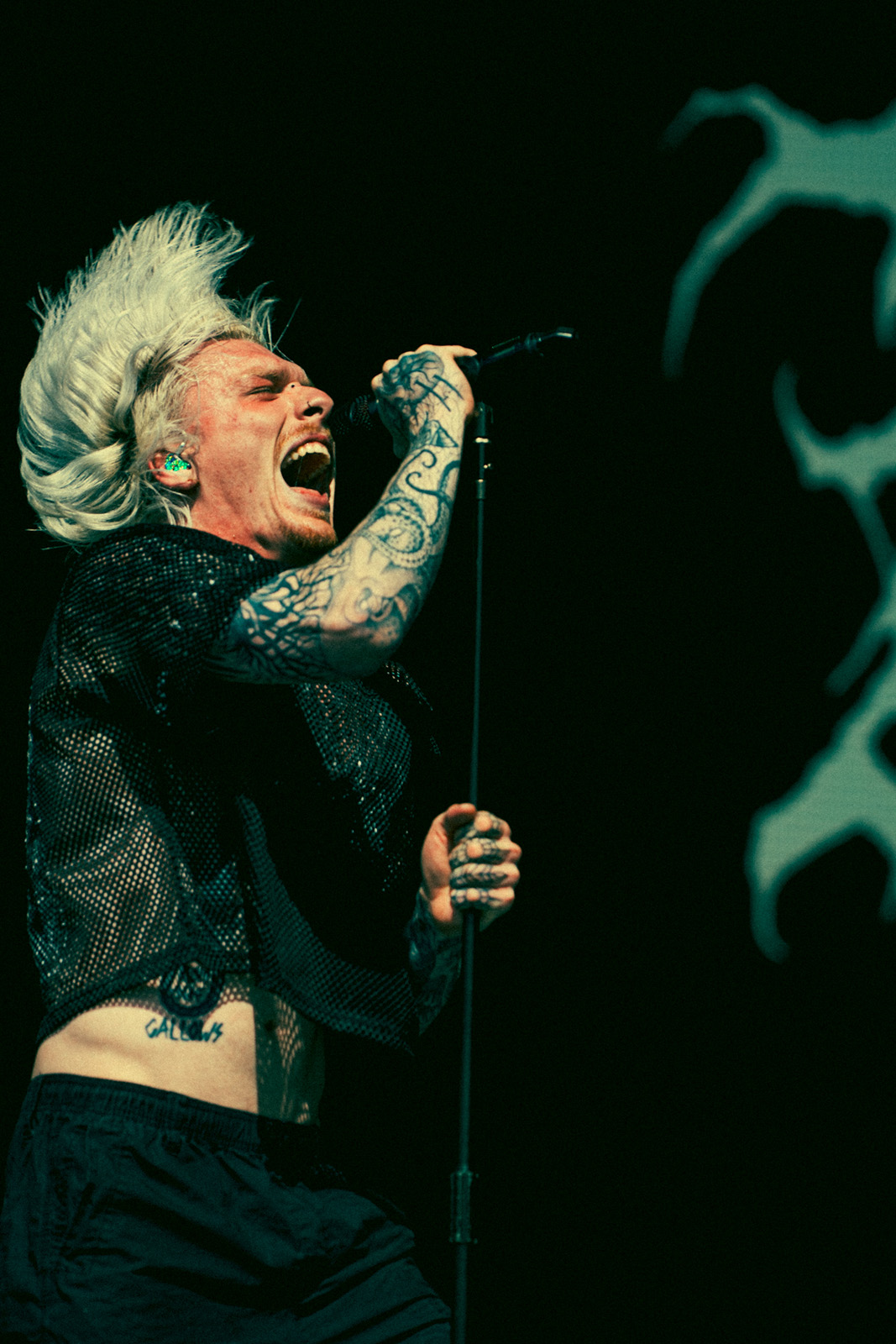 paleface swiss bloodstock 2025 tony Giannattasio 23