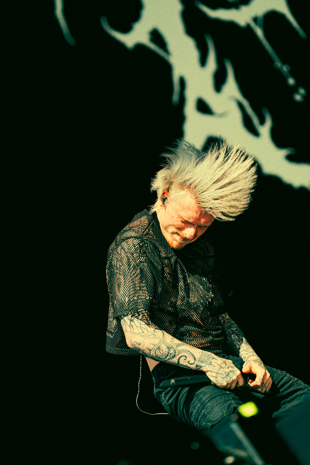 paleface swiss bloodstock 2025 tony Giannattasio 3