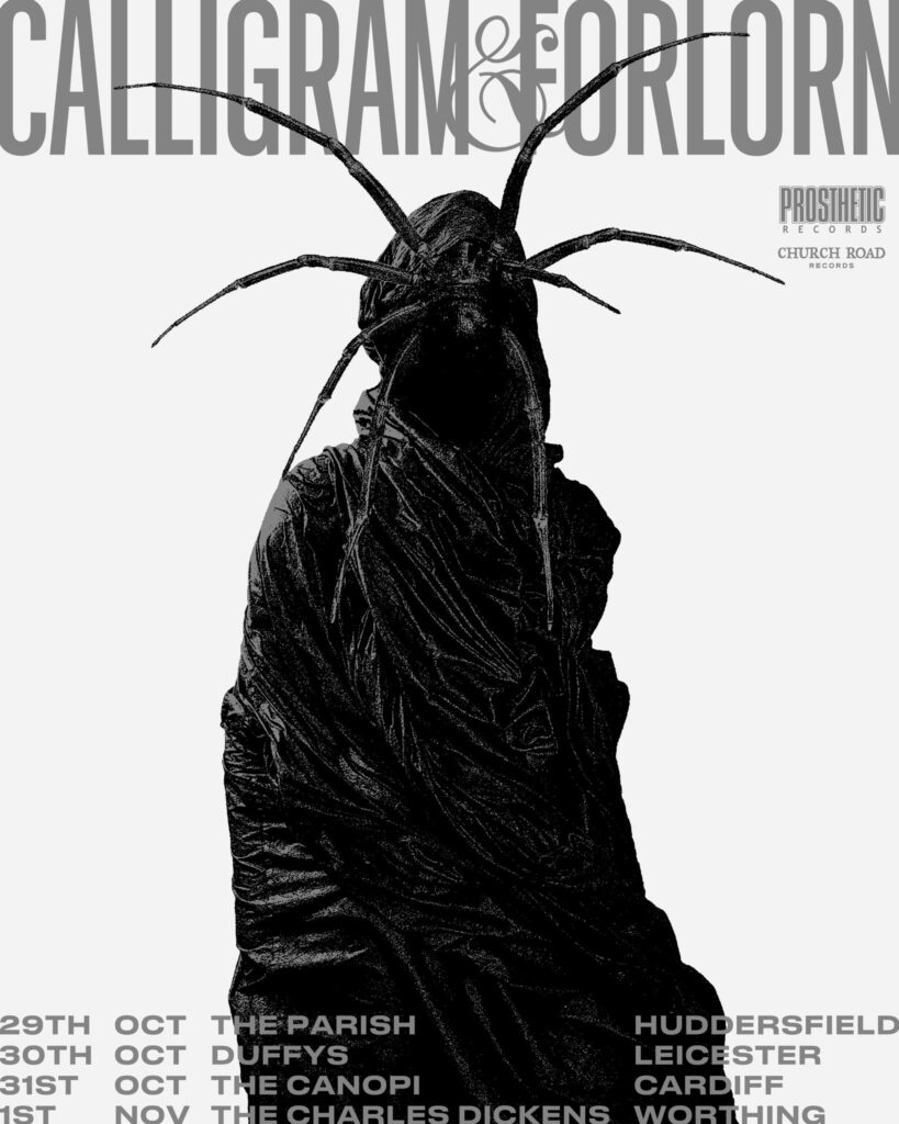 532798795 1375003217489661 8885774802380401277 n