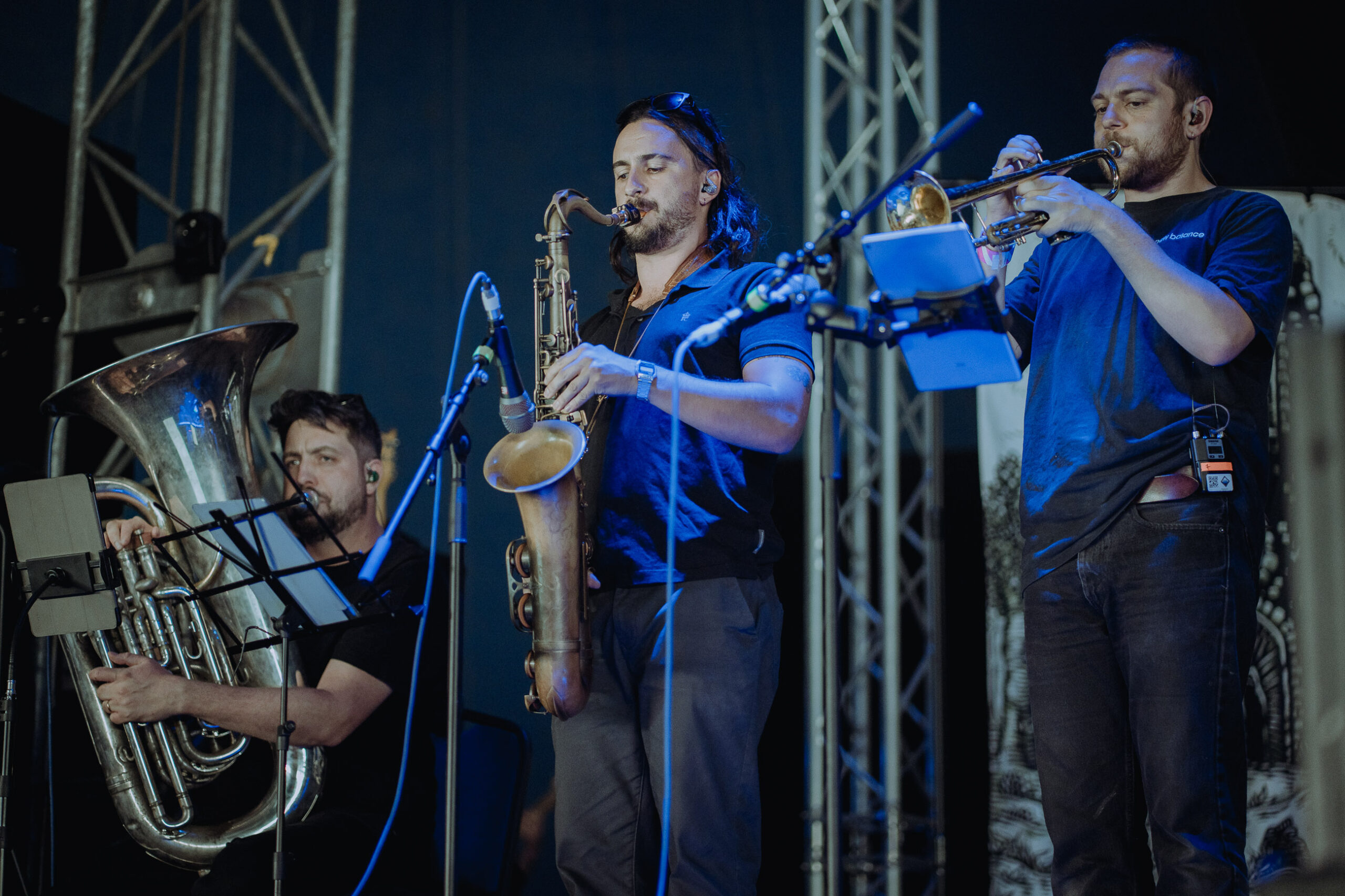 Green Lung Diana Revell ATG 01 scaled