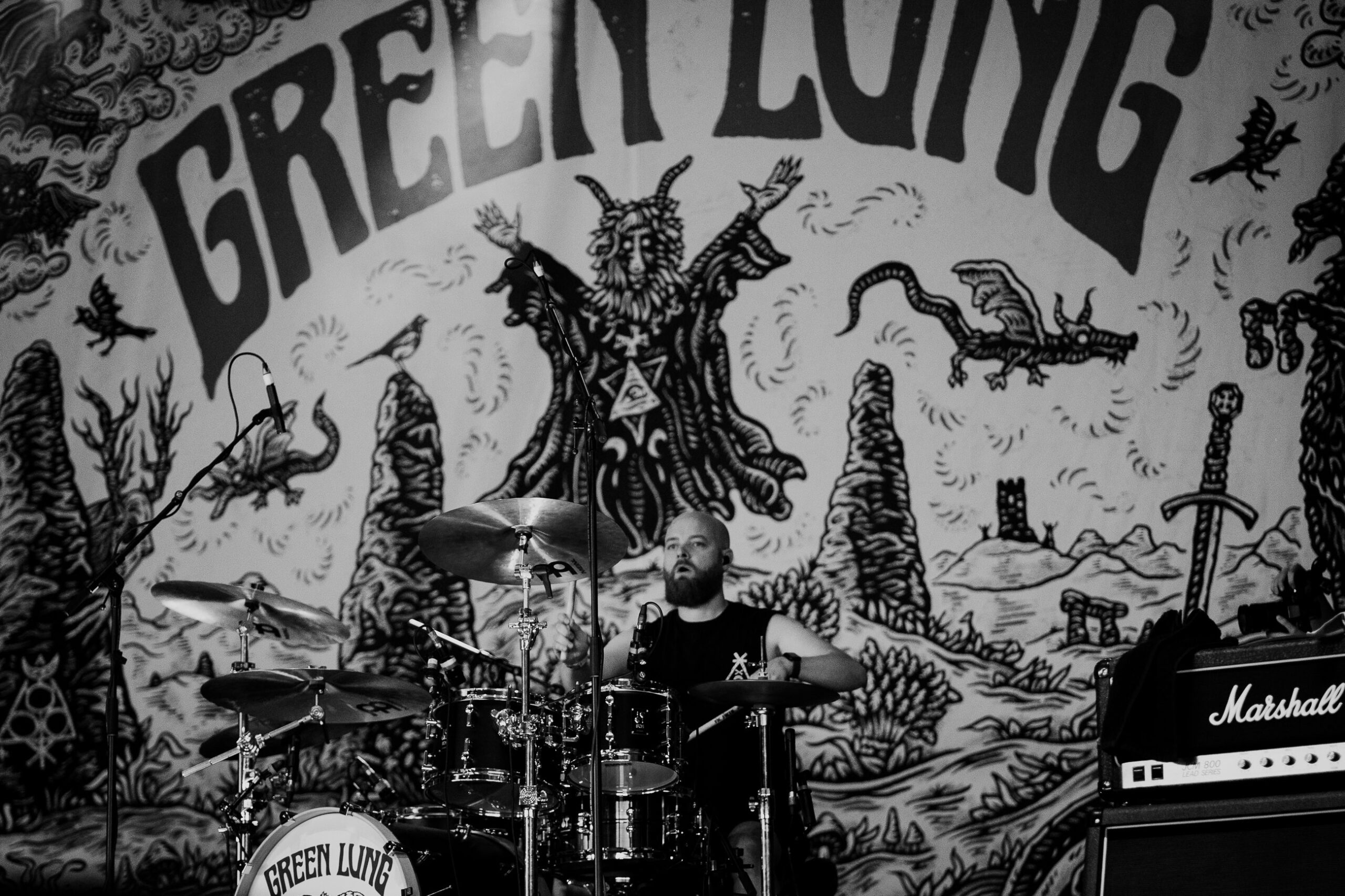 Green Lung Diana Revell ATG 06 scaled