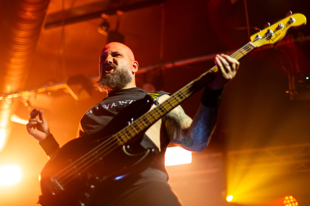 SearchForTheSun Hammerdown Festival SP 20072025 8