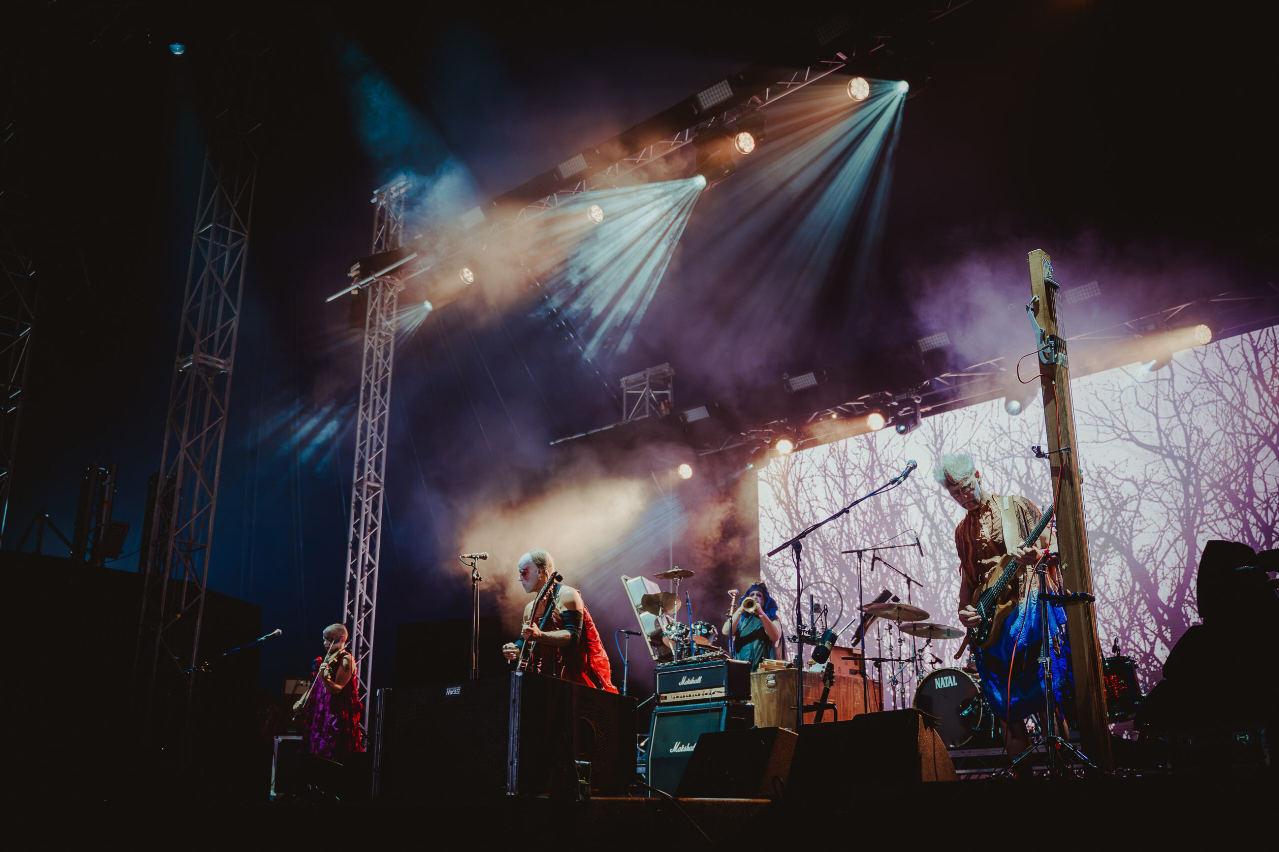 Sleepytime Gorilla Museum Diana Revell ATG 01 scaled