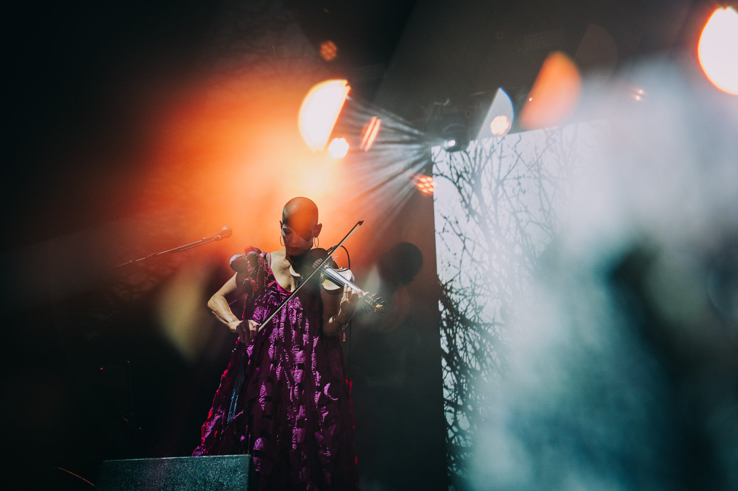 Sleepytime Gorilla Museum Diana Revell ATG 02 scaled