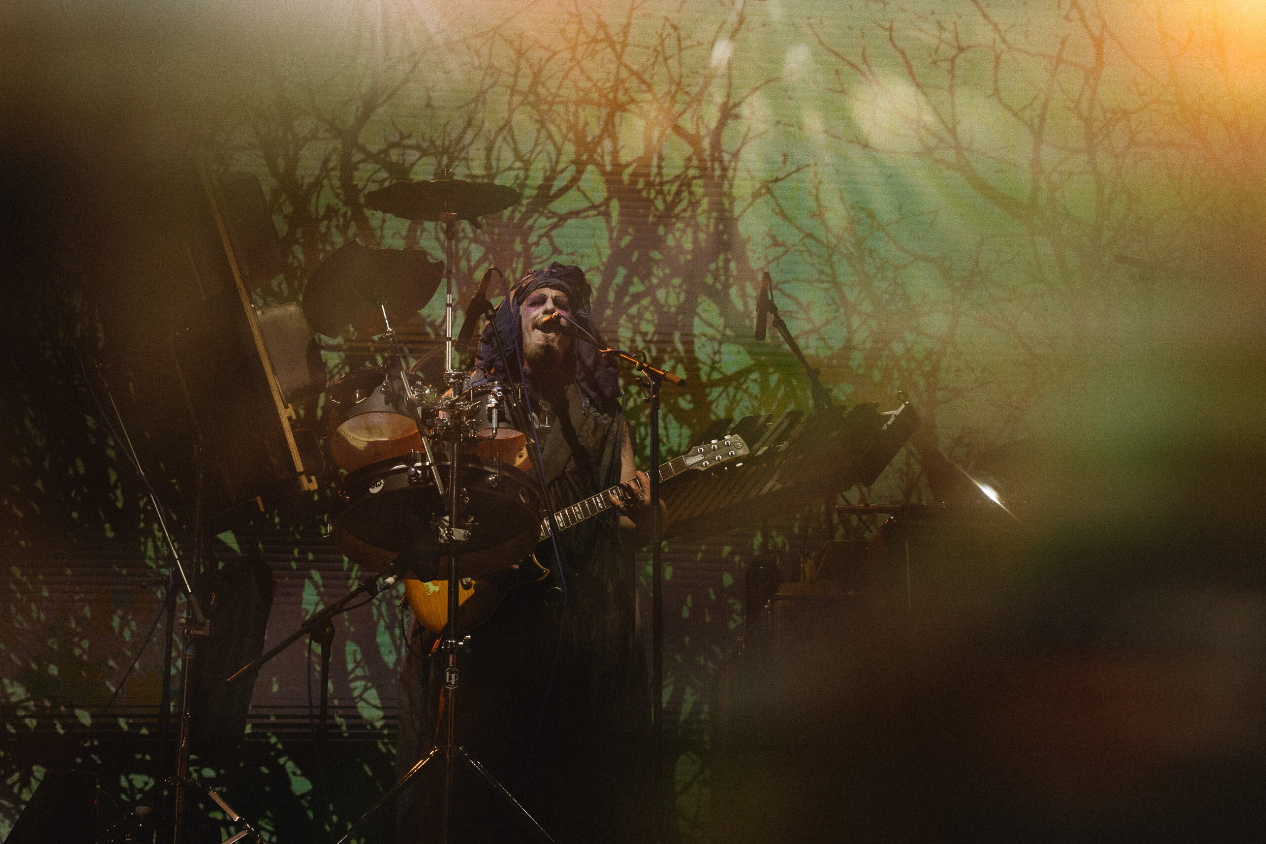 Sleepytime Gorilla Museum Diana Revell ATG 03 scaled