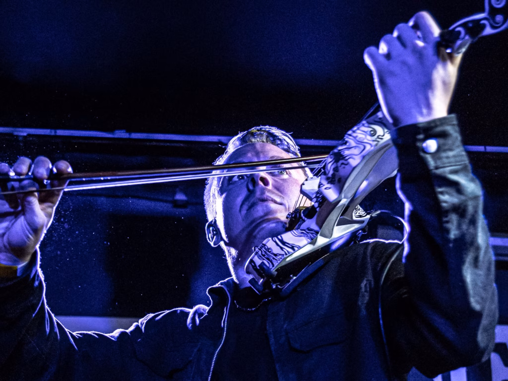 siamese new cross inn 2025 04