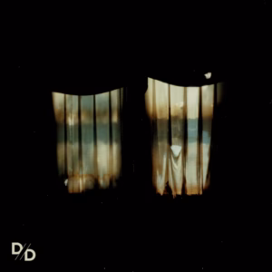 Top 100 Heavy & Alternative Music Releases of 2025 (According to Nat) 93 Divide and Dissolve – Insatiable (Bella Union)