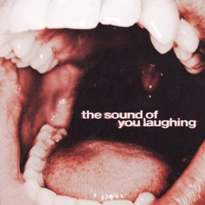 Top 10 Metal Albums of 2025 3 The Sound of You Laughing - ThxSoMch