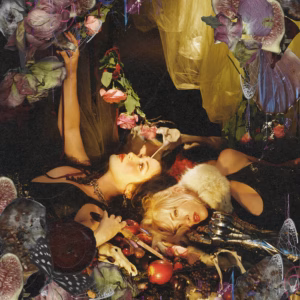 Top 100 Heavy & Alternative Music Releases of 2025 (According to Nat) 17 Chokecherry – Ripe Fruit Rots And Falls (Fearless)