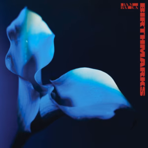 Top 100 Heavy & Alternative Music Releases of 2025 (According to Nat) 45 Bambara – Birthmarks (Bella Union/Wharf Cat)