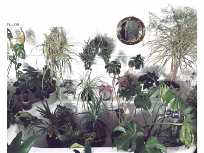 Wildernesses – Growth