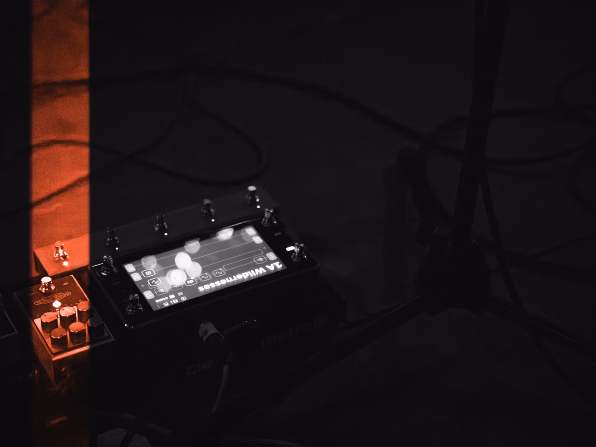 Wildernesses bring Growth to London 1 Wildernesses bring Growth to London