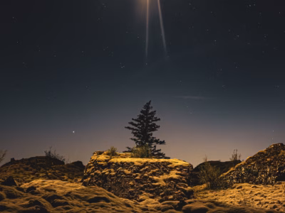 Hammock Moonrise cover art 3000px