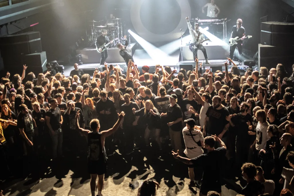 tdwp th banner pic